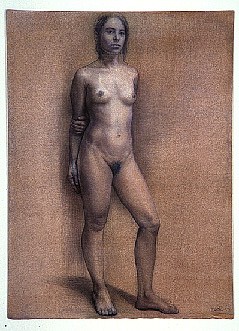 Steven Assael, Standing Nude (Annaluisa)
1993, Ink and Mixed Media on Paper
